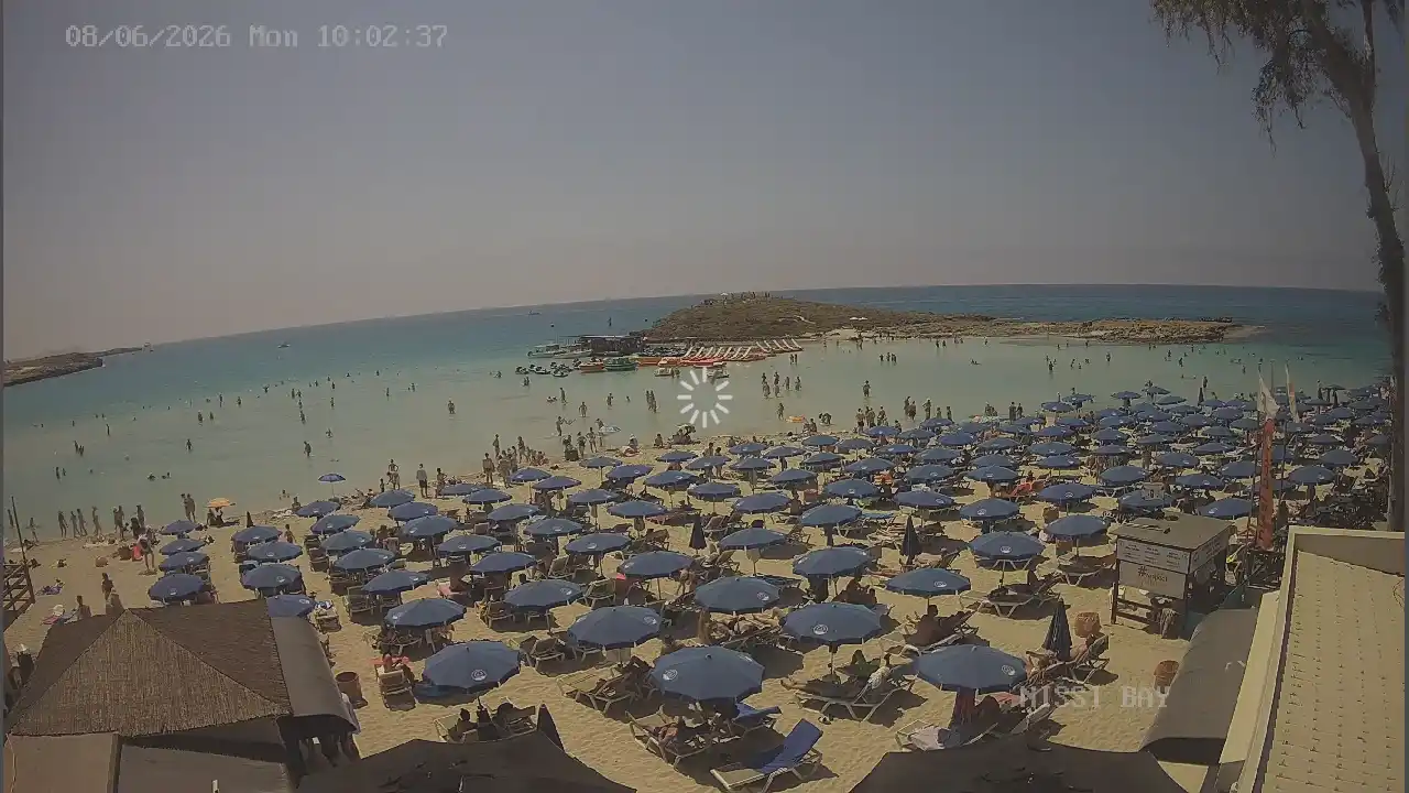 Ujęcie z kamery :city — 8 czerwca 2026 08:00