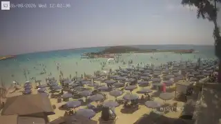 Miniatura 2026-08-26 10:00