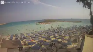 Miniatura 2026-08-28 12:00