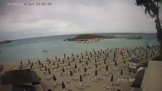 Miniatura 2026-08-29 12:00